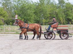 IMG_1718_web